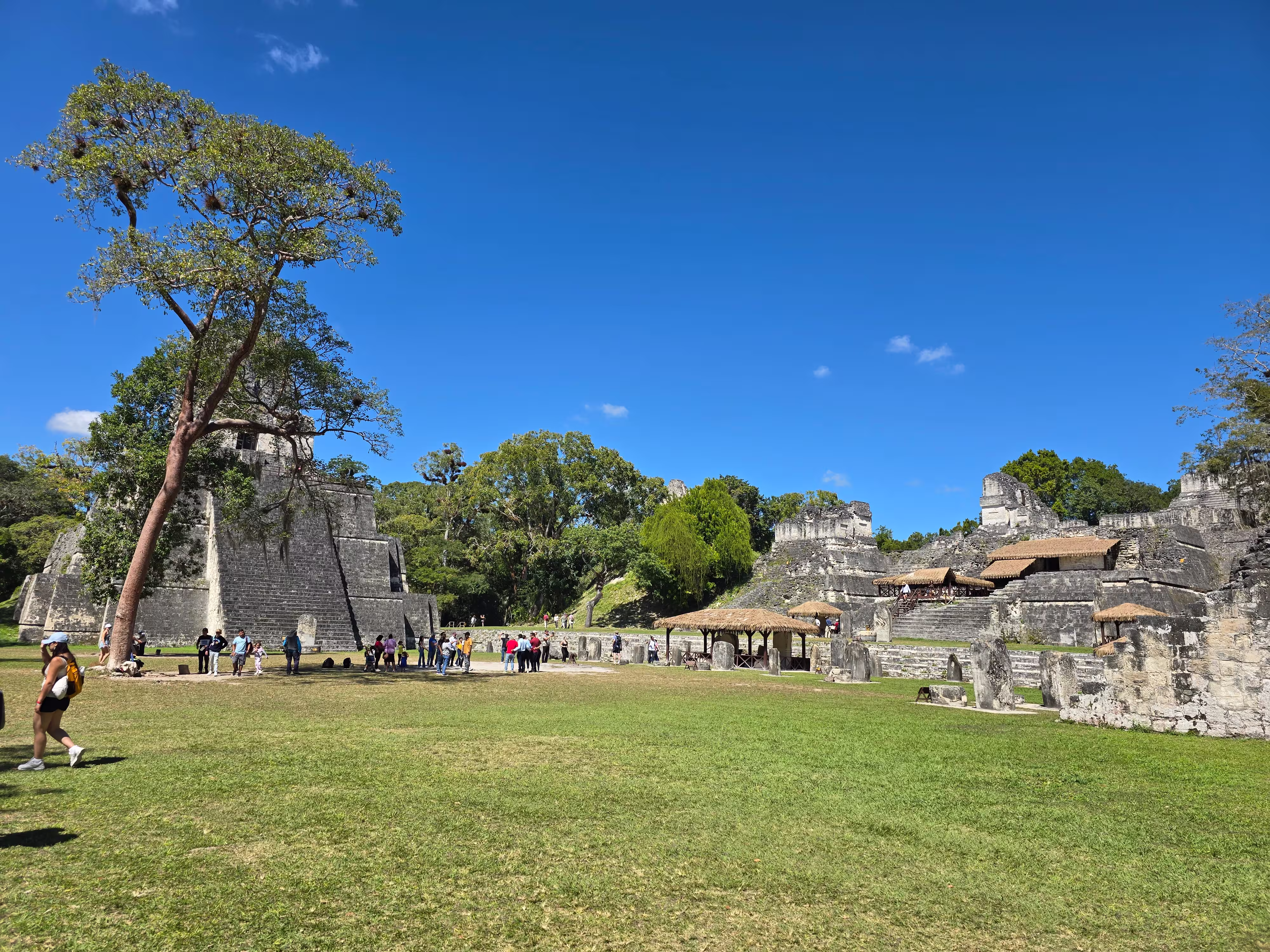 Tikal Colectivo desde Antigua